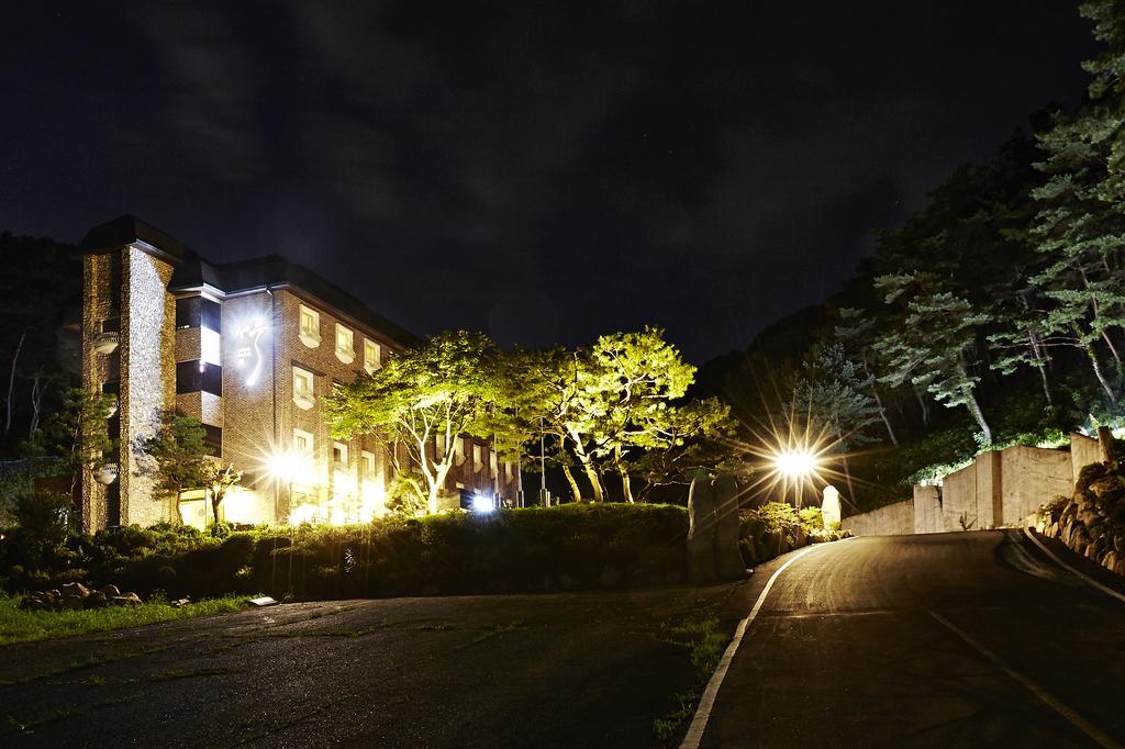 Hotel Namoo Cheong-Ju Cheongju Pokój zdjęcie